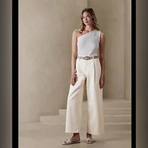 Banana Republic Factory Pleated High Rise Wide Leg Jean size 30